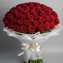 Букет 101 Красная роза Блэк Мэджик в Сельце