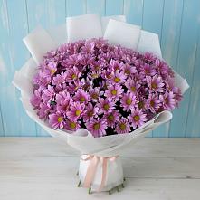 Букет цветов из:  Хризантемы в Сельце