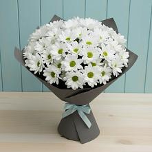 Букет цветов из:  Хризантемы #REPLACE_PRED# Сельце