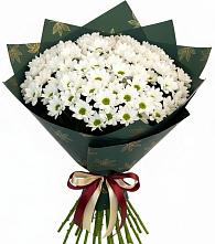 Букет цветов из:  Хризантемы #REPLACE_PRED# Сельце