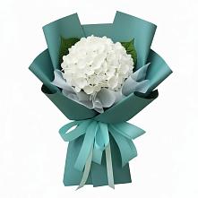 Букет цветов из:  Гортензия в Сельце